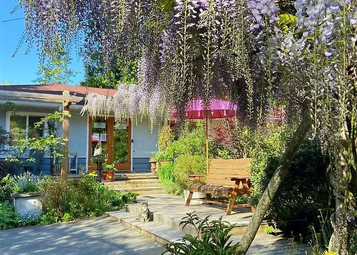 Wisteria Guest House