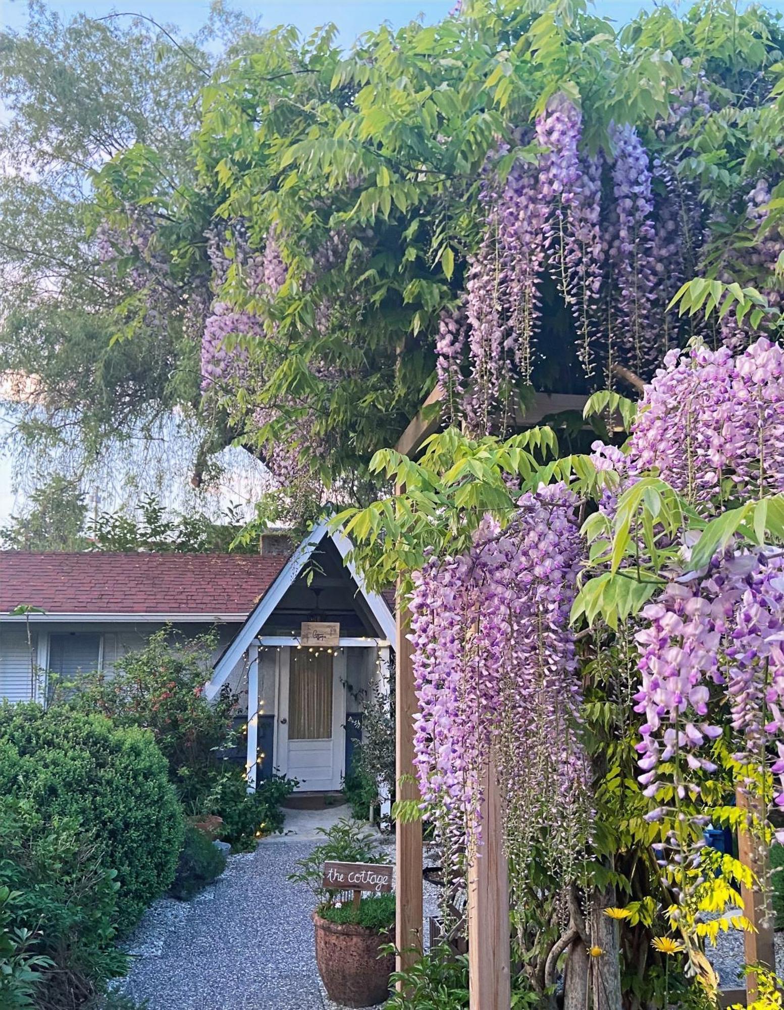 Wisteria Maison d'hôtes 3*
